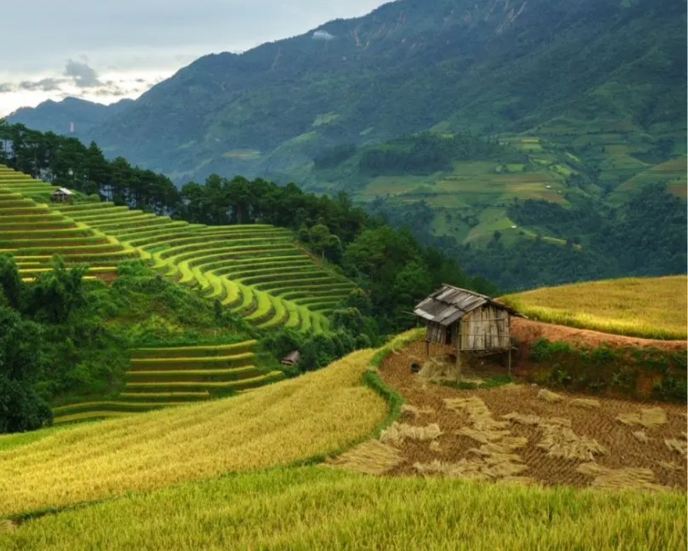 Best Sapa Trekking