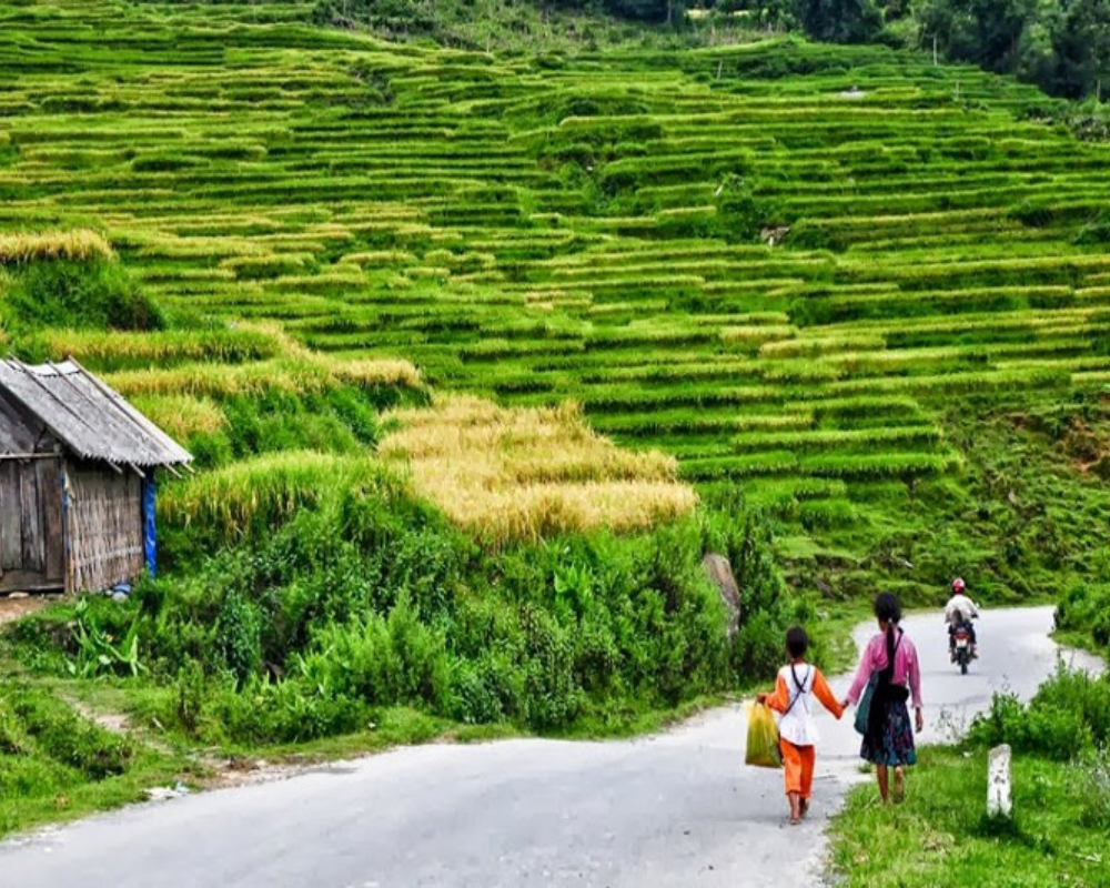 Sapa Trekking Trails