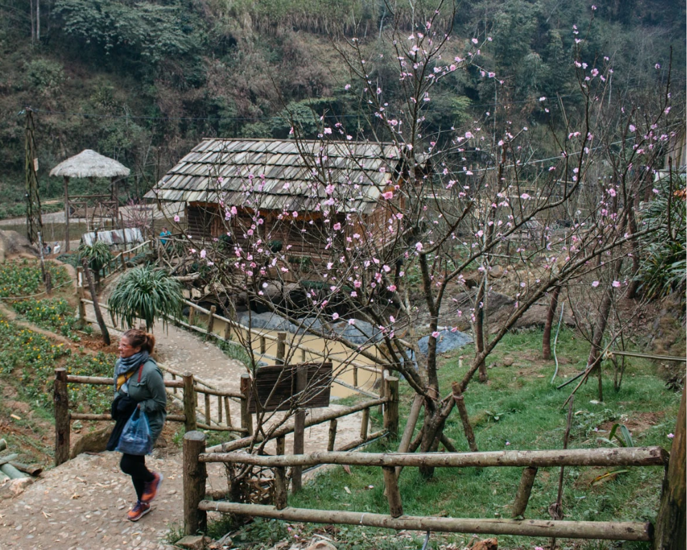 Best Sapa Trekking