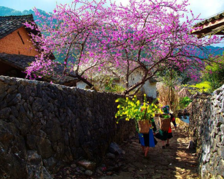 Best Time To Visit Sapa Vietnam