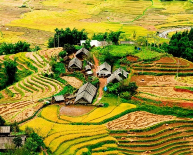 Best Time To Visit Sapa Vietnam