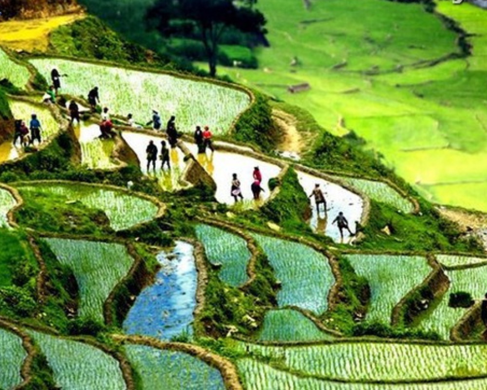 Sapa Trekking Tours From Hanoi