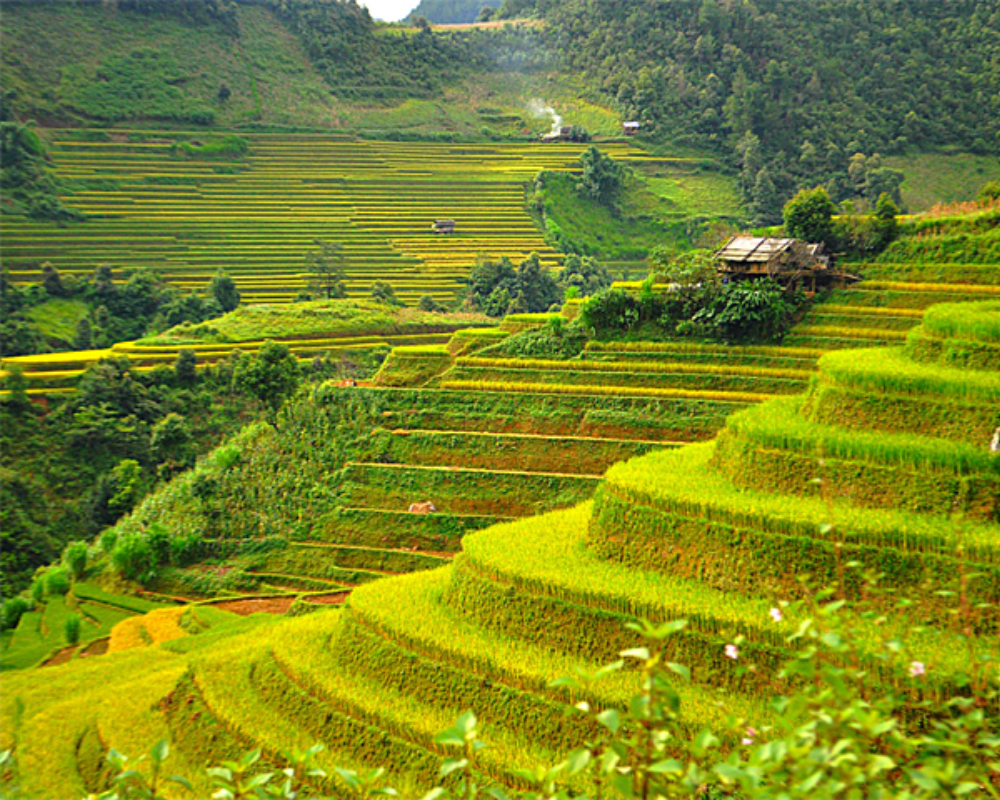 The Best Month To Visit Sapa