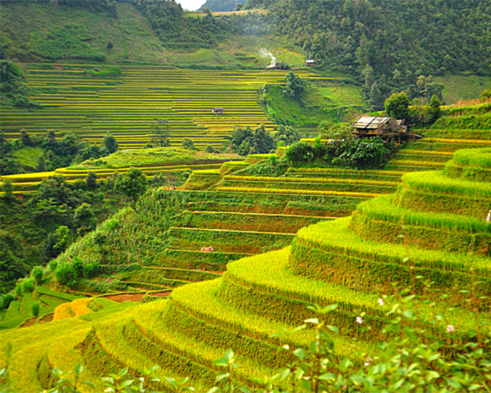 sapa trekking tours from hanoi