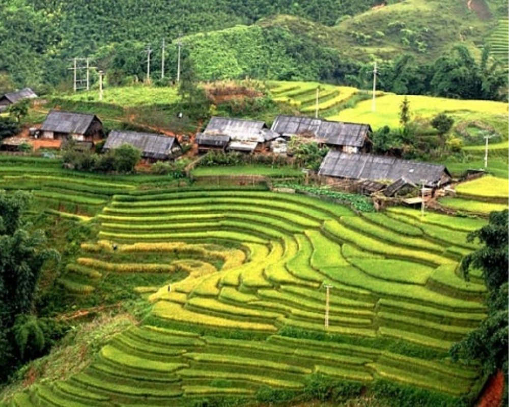 sapa trekking tours from hanoi