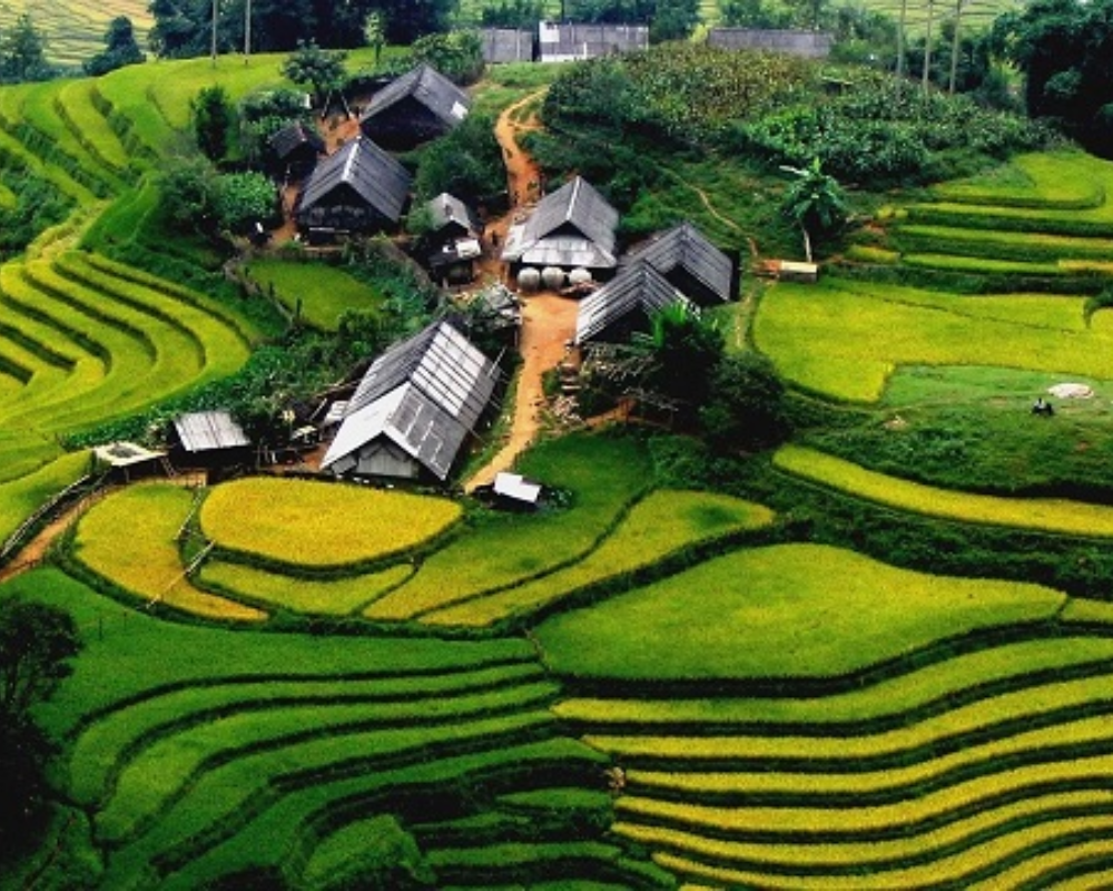 Sapa Trekking Tours From Hanoi