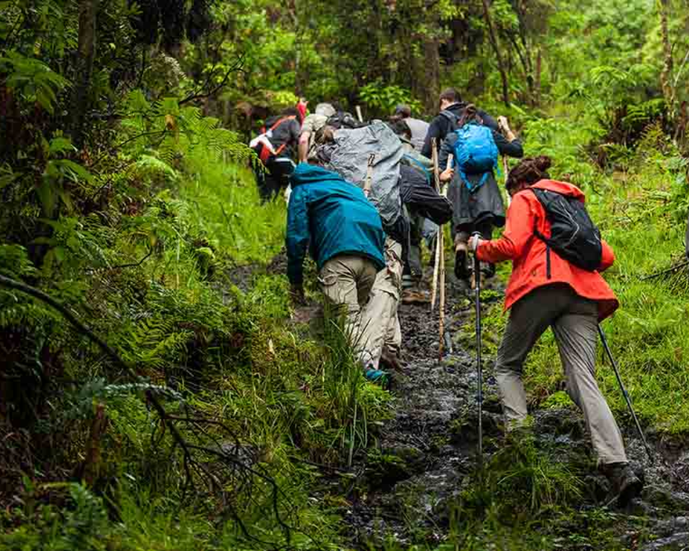 Sapa Trekking Tours From Hanoi