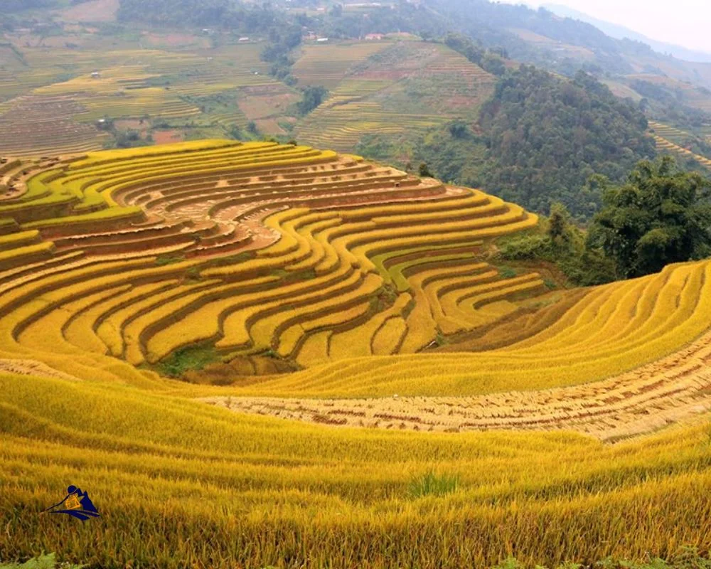 Sapa Trekking In Autumn