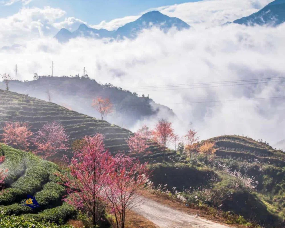 Sapa Trekking For Couple