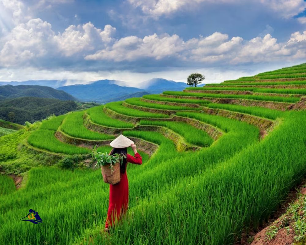Can You Do A Day Trip From Hanoi To Sapa?