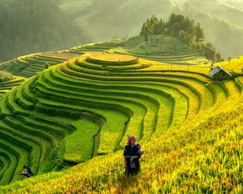 How To Spend Three Days In Sapa?