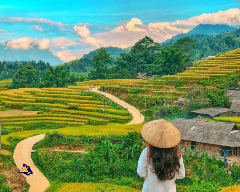 Sapa Trekking In Autumn