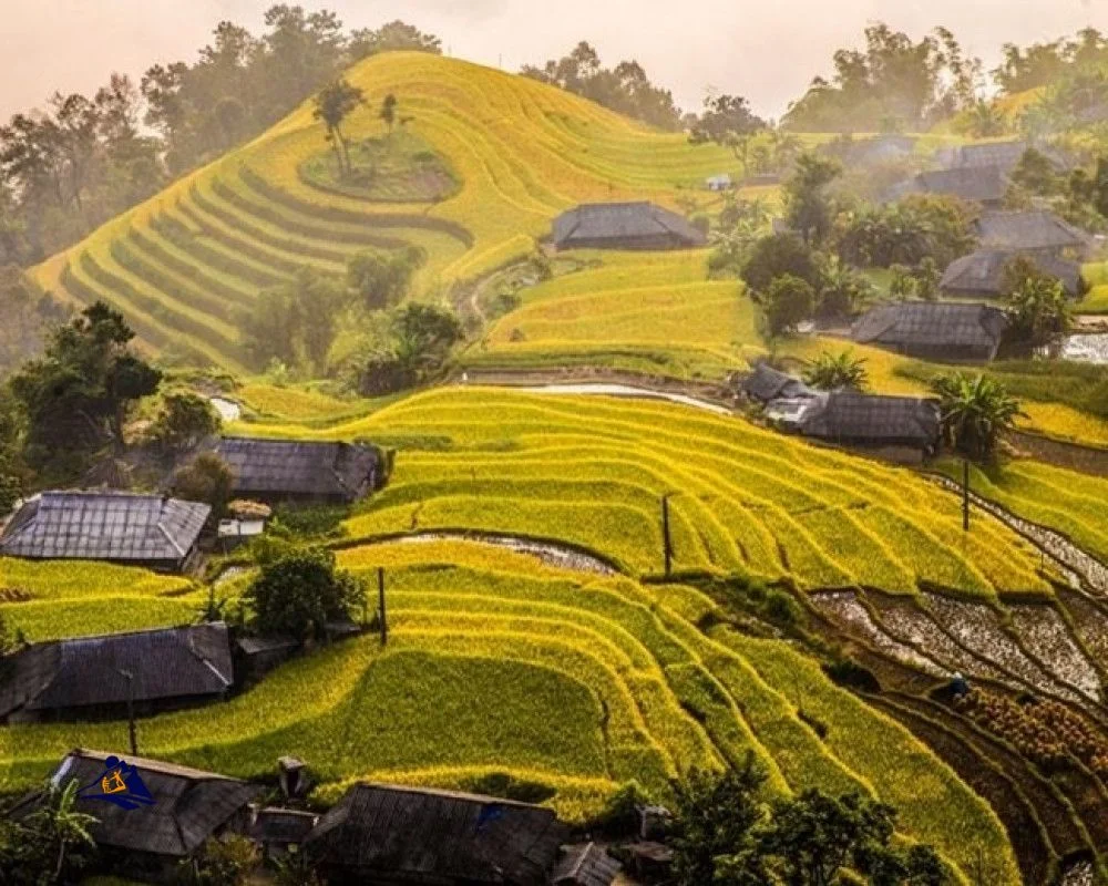 Top 5 Best Sapa Easy Trekking For Beginner Travelers