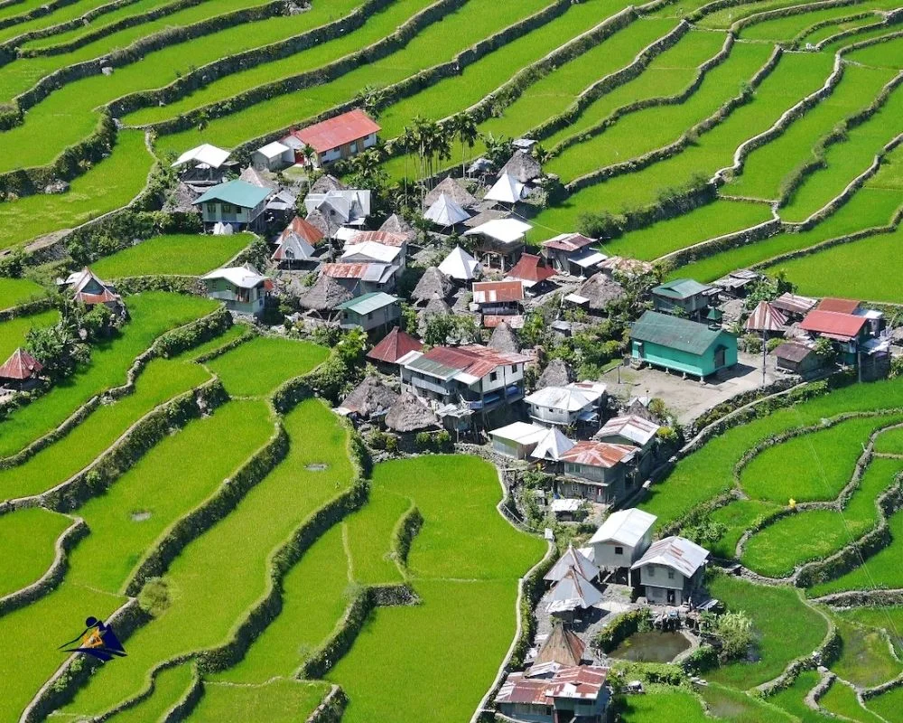 Sapa Trekking For Family