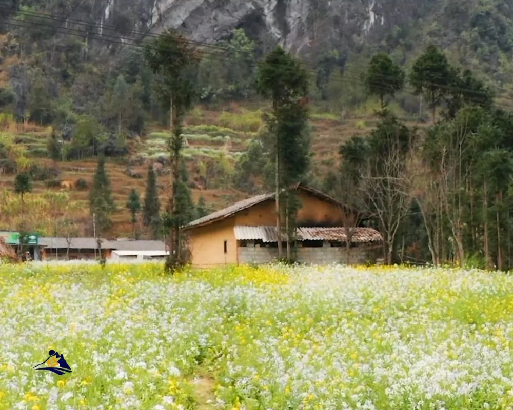 Sapa Trekking In Spring