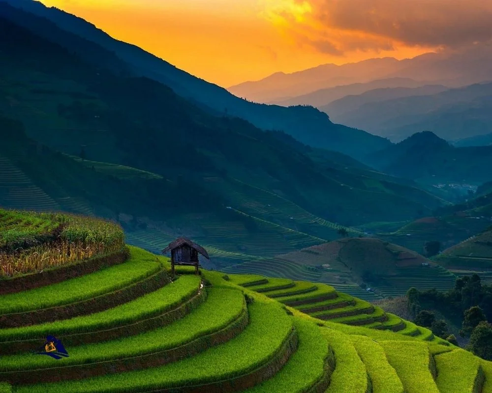 Sapa Weather In November: Tips For Enjoying Your Vacation Despite The ...