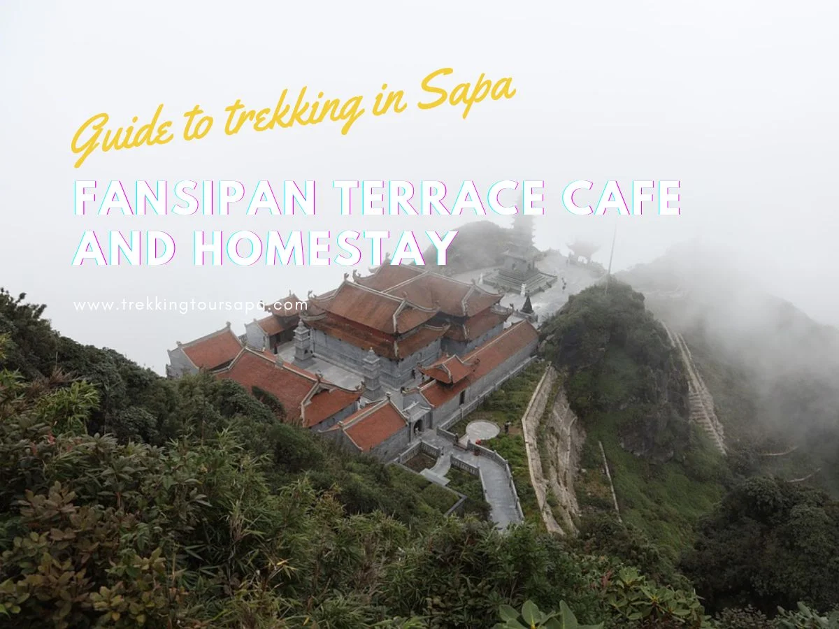 Fansipan Terrace Cafe And Homestay