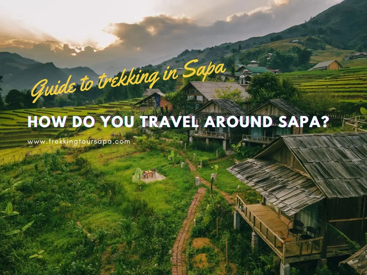 How Do You Travel Around Sapa