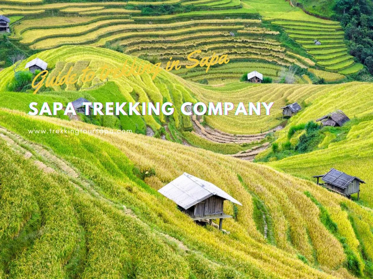 Sapa Trekking Company