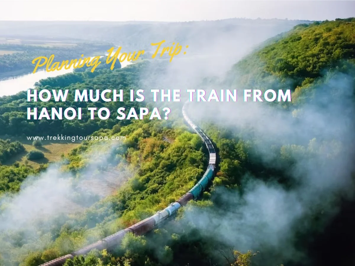 how much is the train from hanoi to sapa?