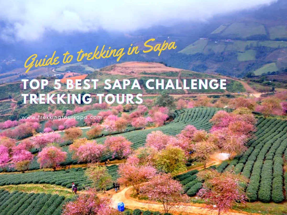 Top 5 Best Sapa Challenge Trekking Tours