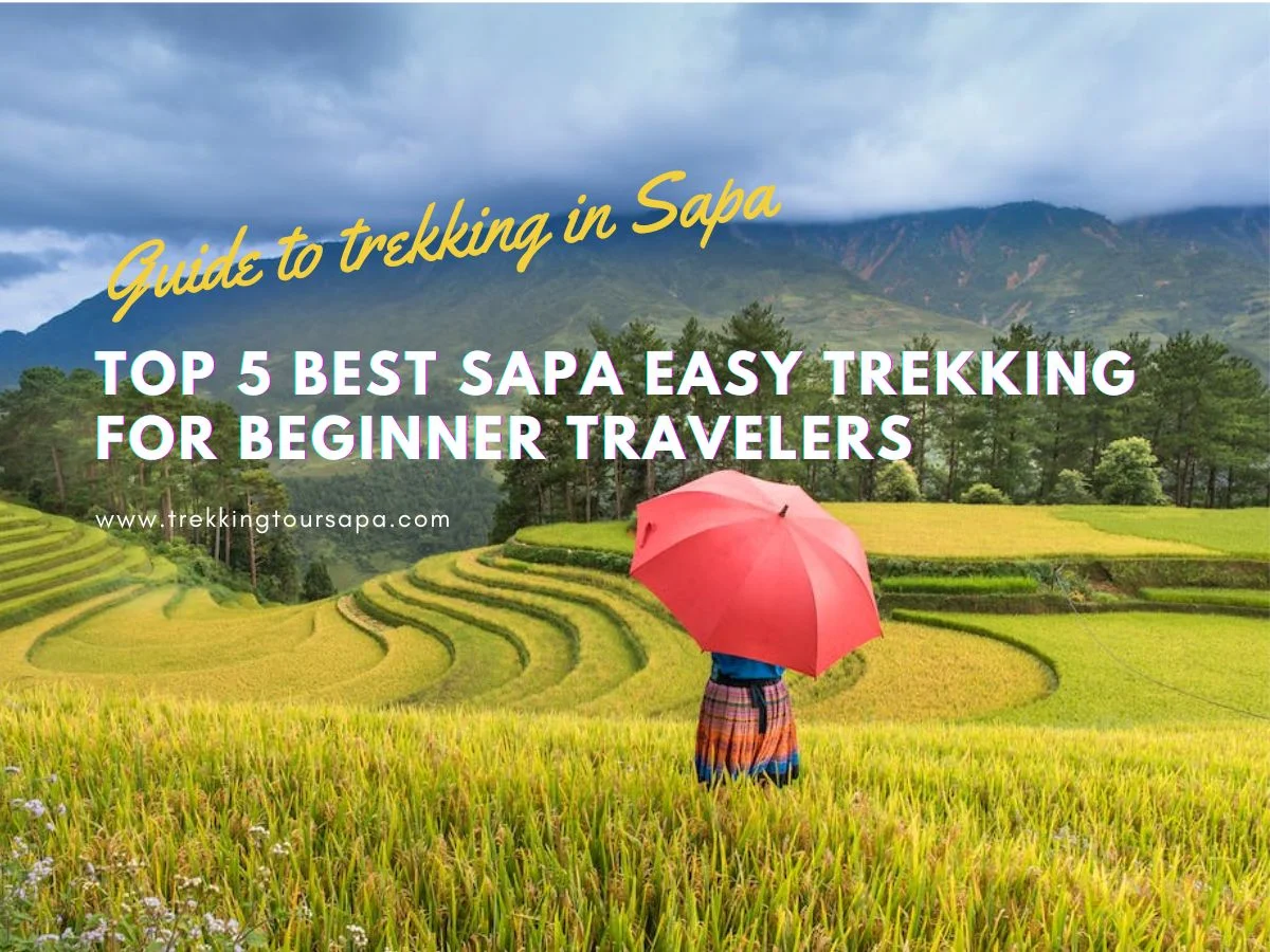 Top 5 Best Sapa Easy Trekking For Beginner Travelers