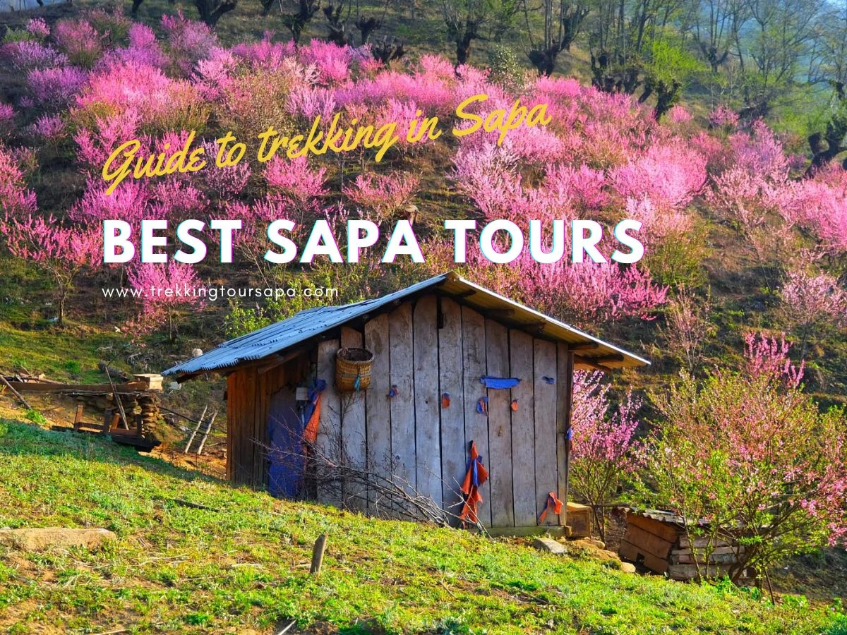 best Sapa tours