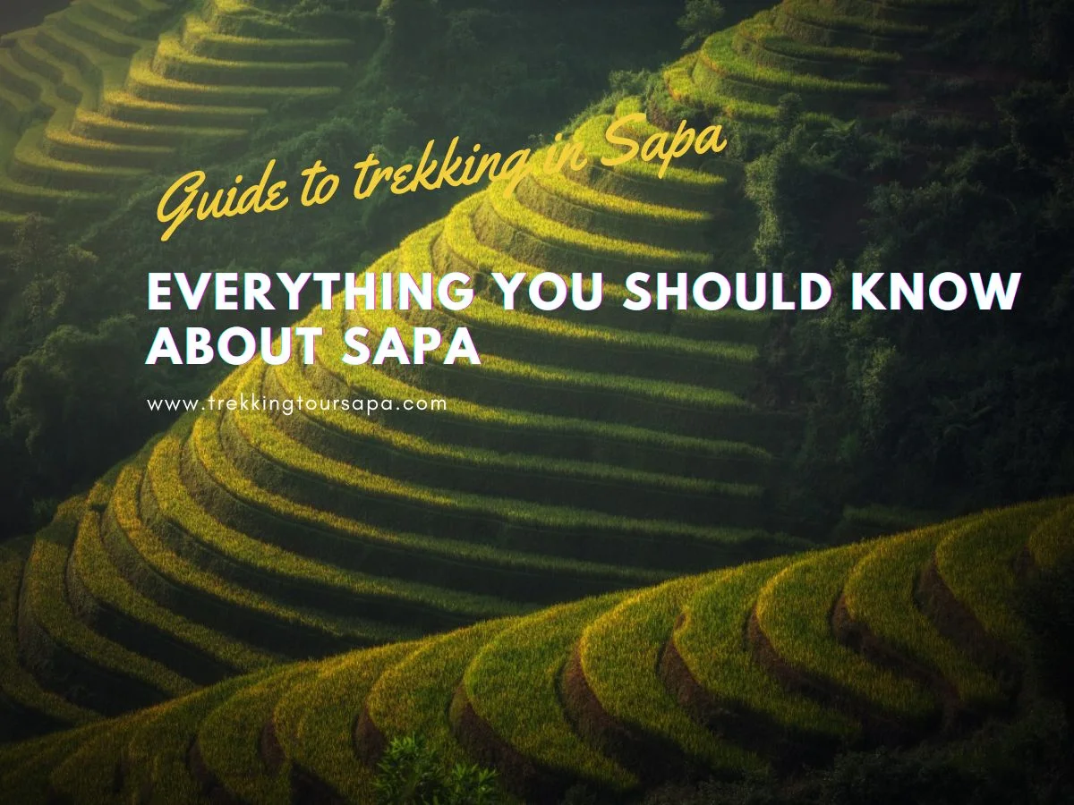 everything you should know about sapa