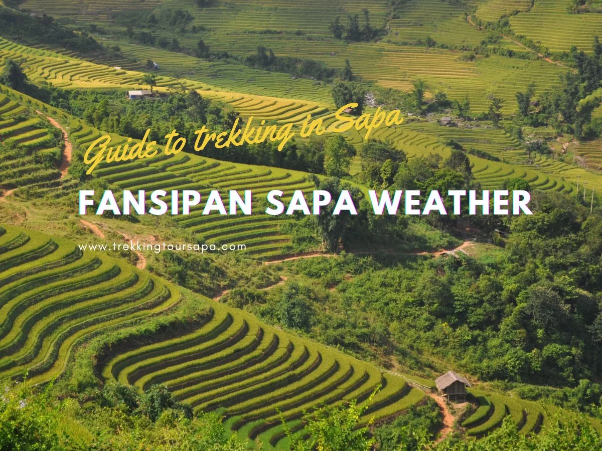 fansipan sapa weather