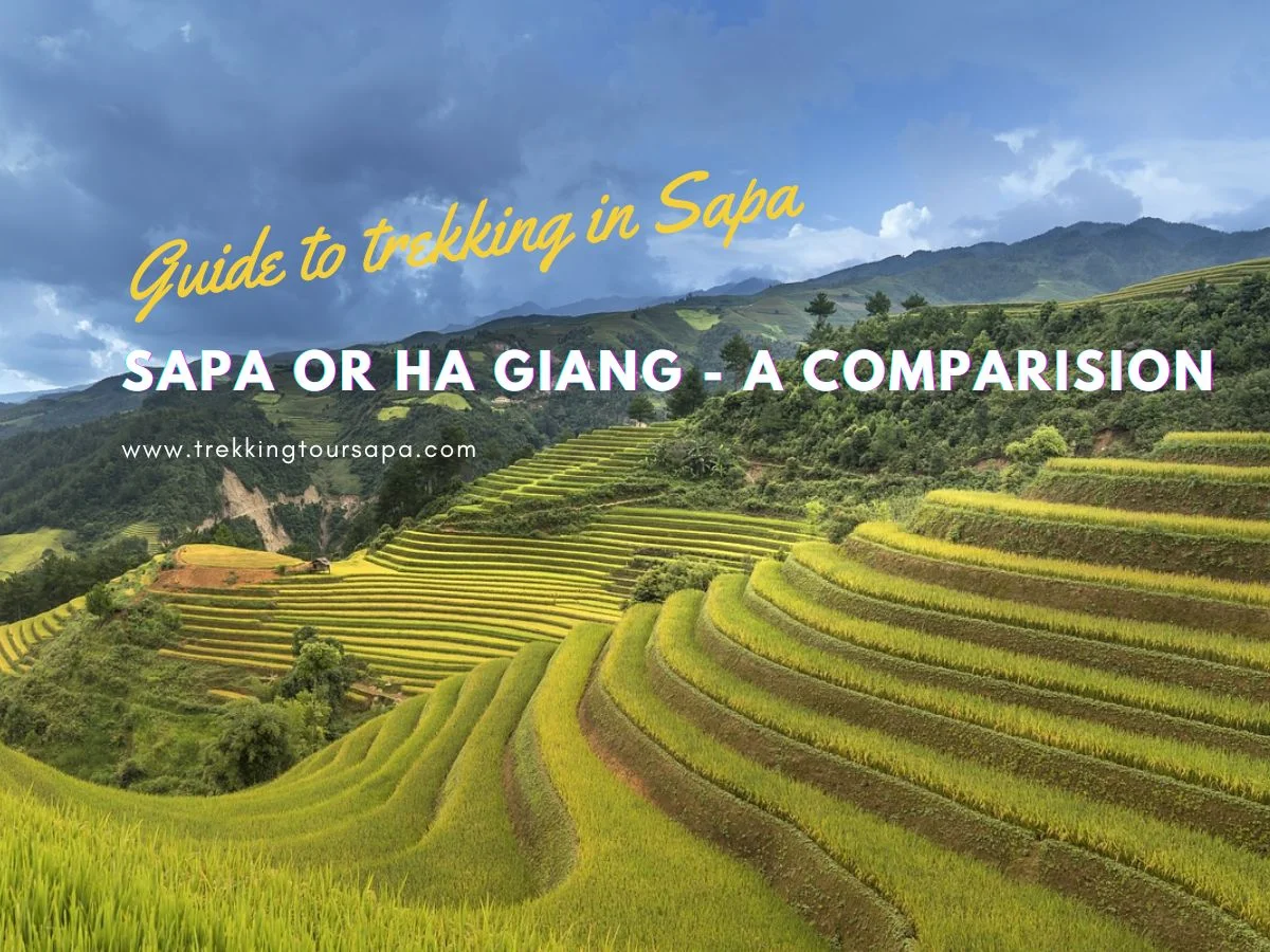 Sapa Or Ha Giang - A Comparision