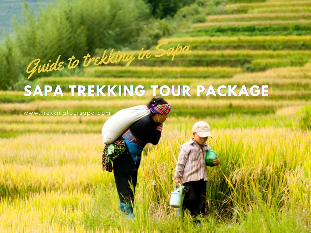 sapa trekking tour package