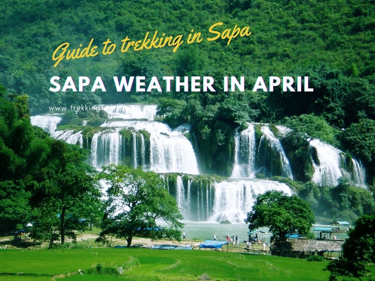 sapa weather in april