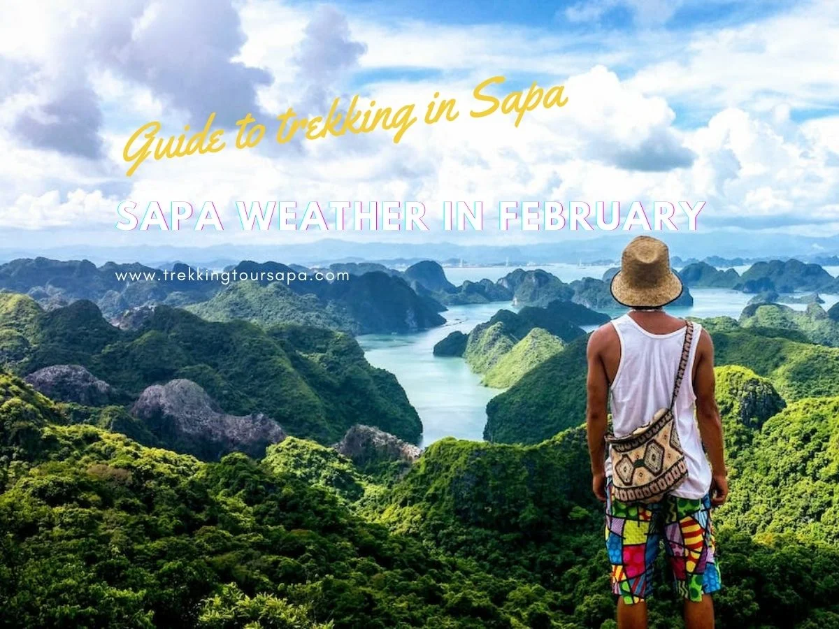sapa weather in february