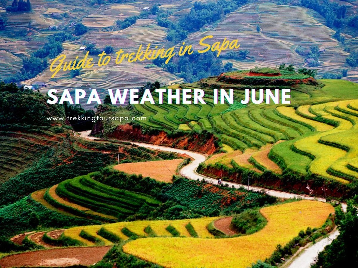 sapa weather in june