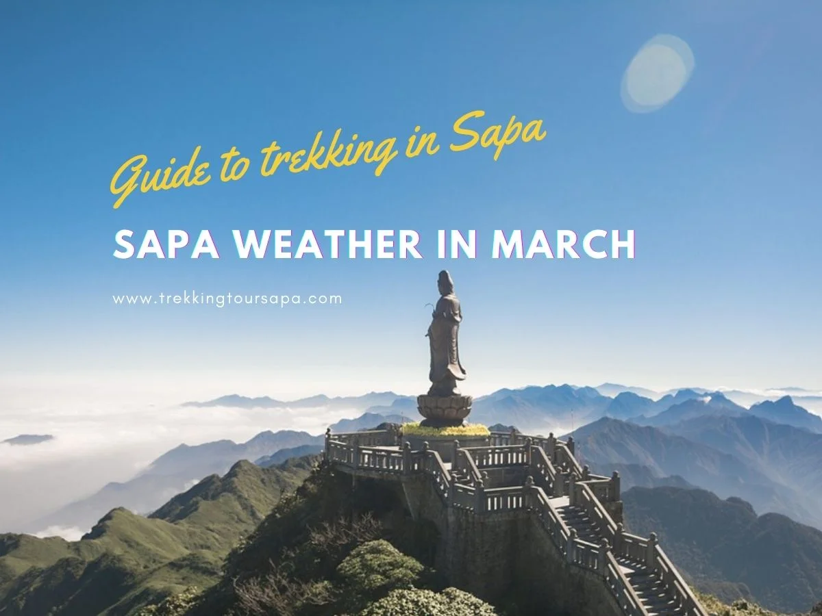 sapa weather in march