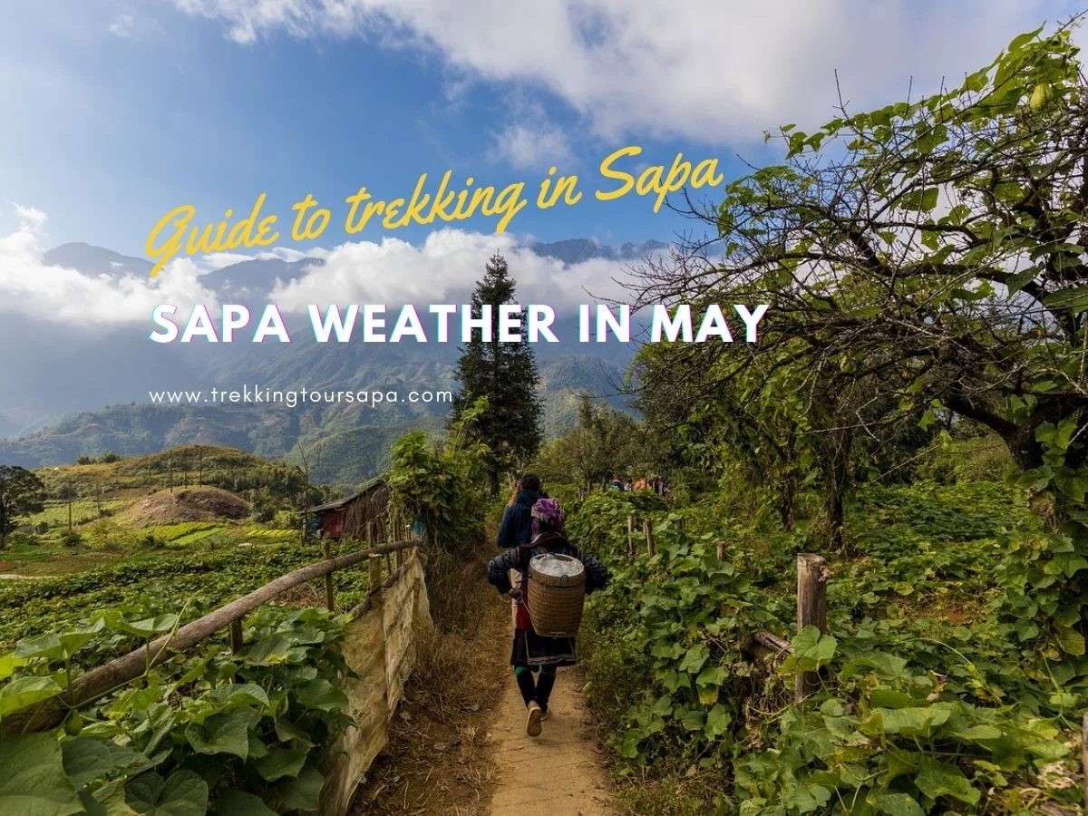 sapa weather in may