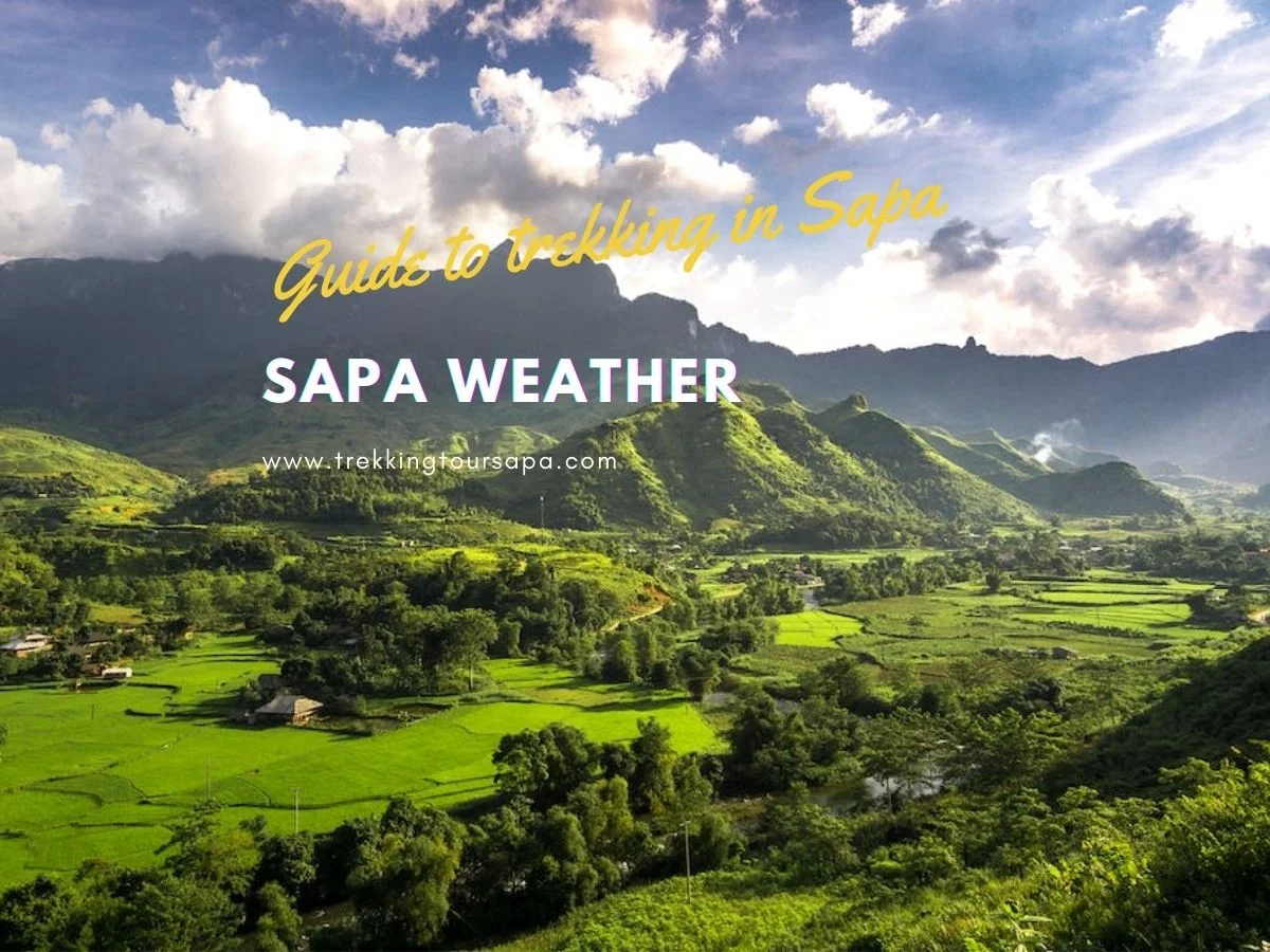 sapa weather