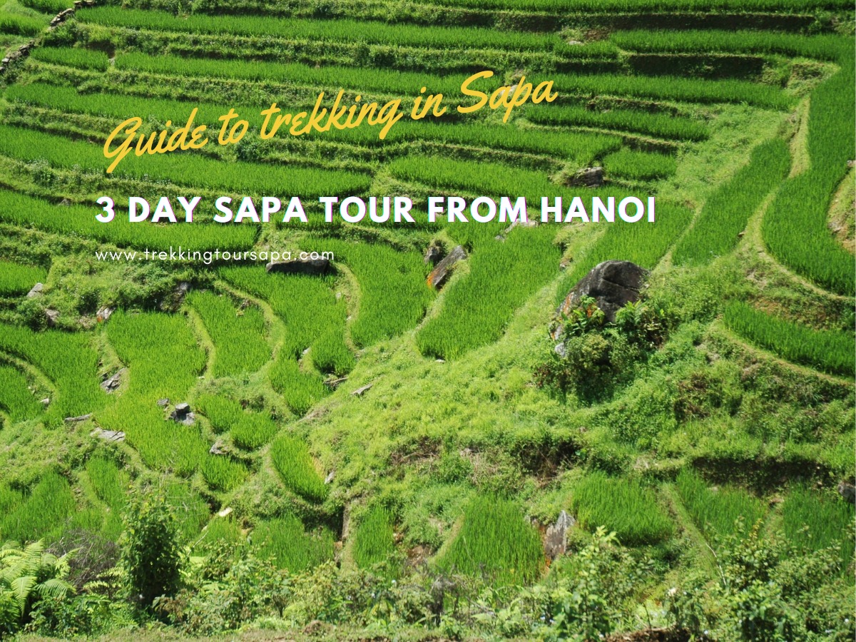 3 day sapa tour from hanoi
