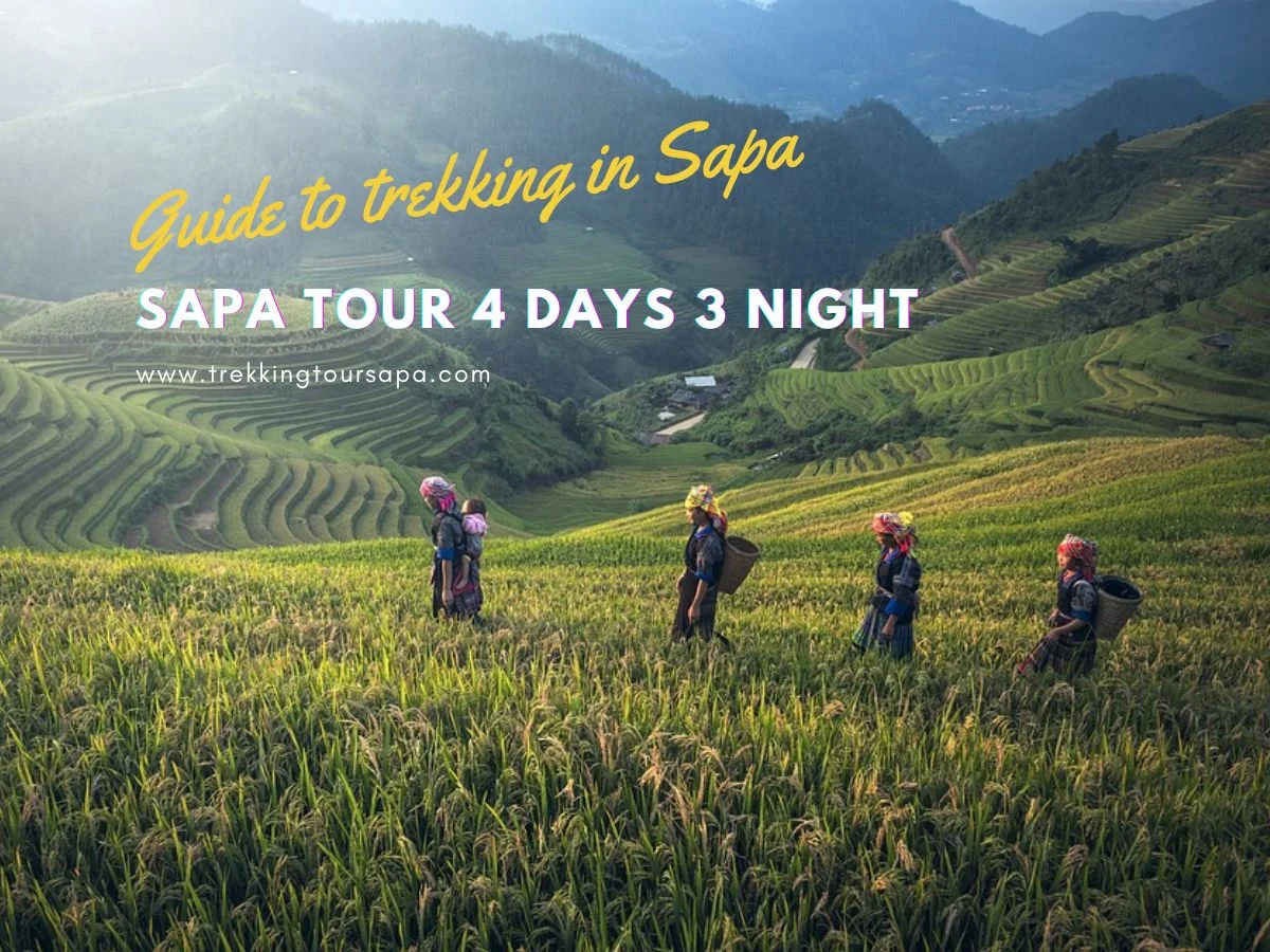 SAPA TOUR 4 DAYS 3 NIGHT