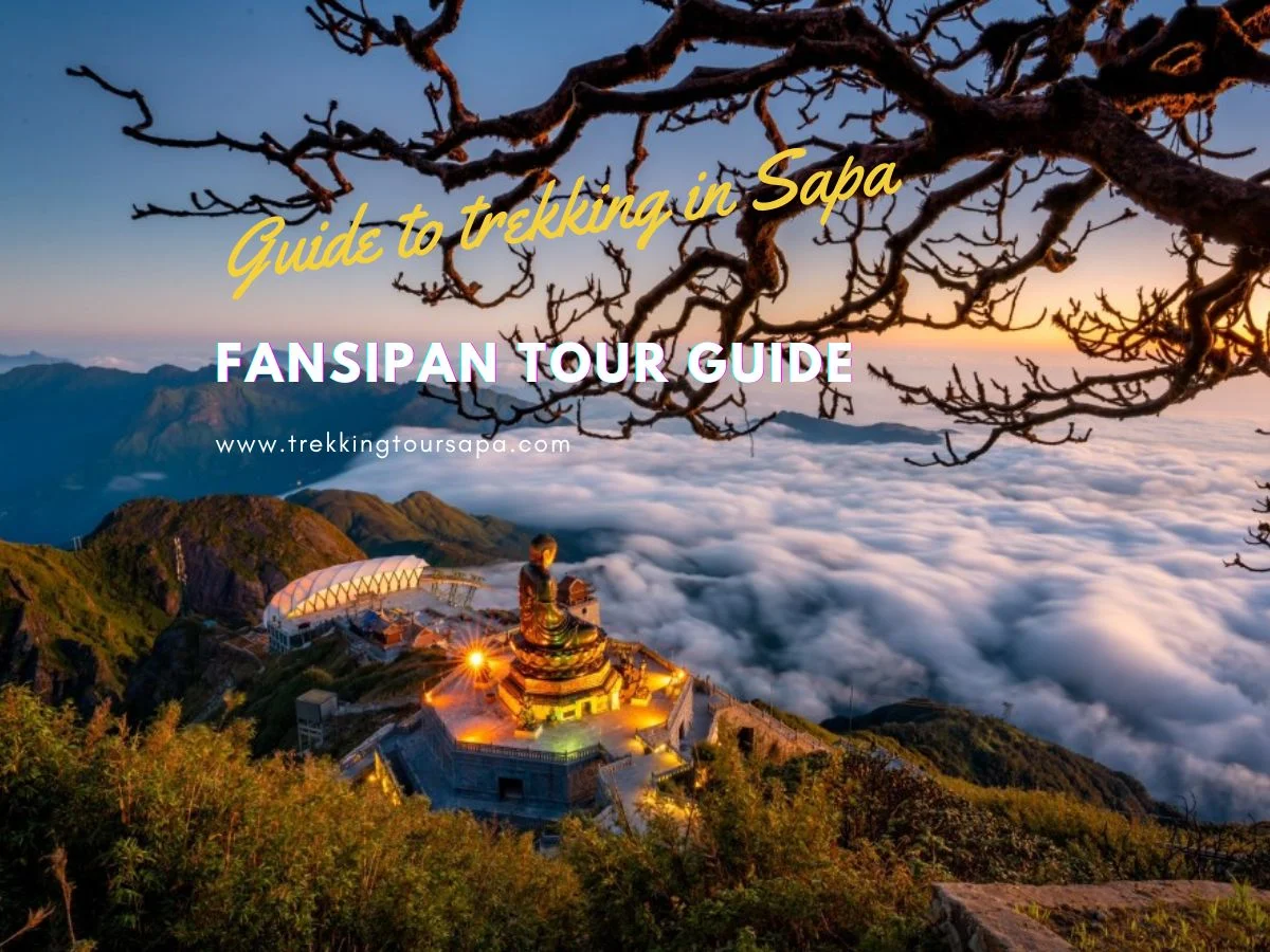 Fansipan Tour Guide