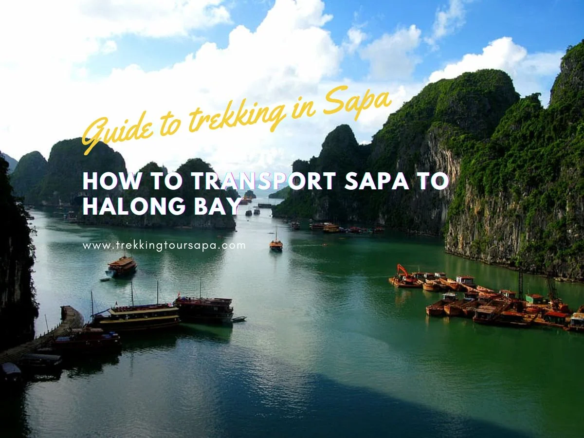 How to Transport Sapa to Halong Bay