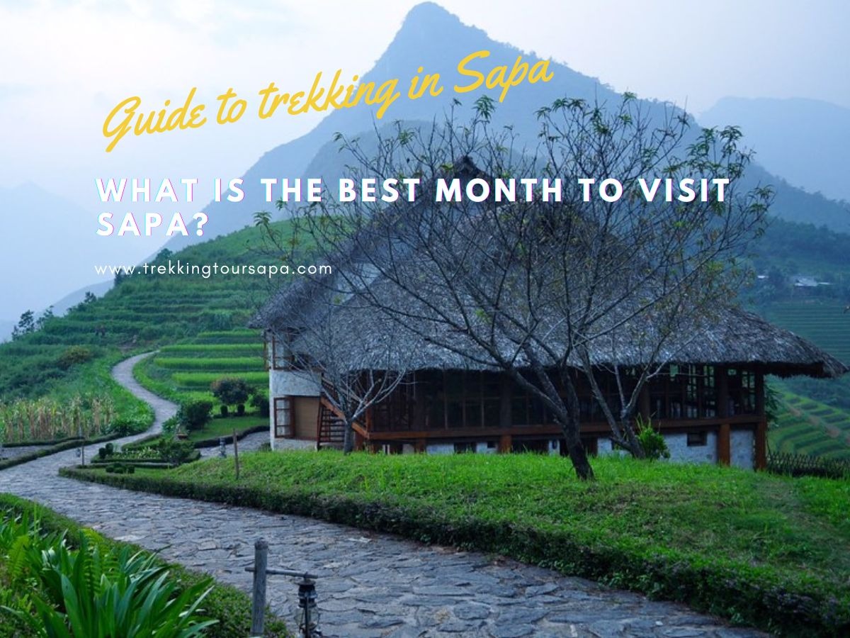 What Is The Best Month To Visit Sapa