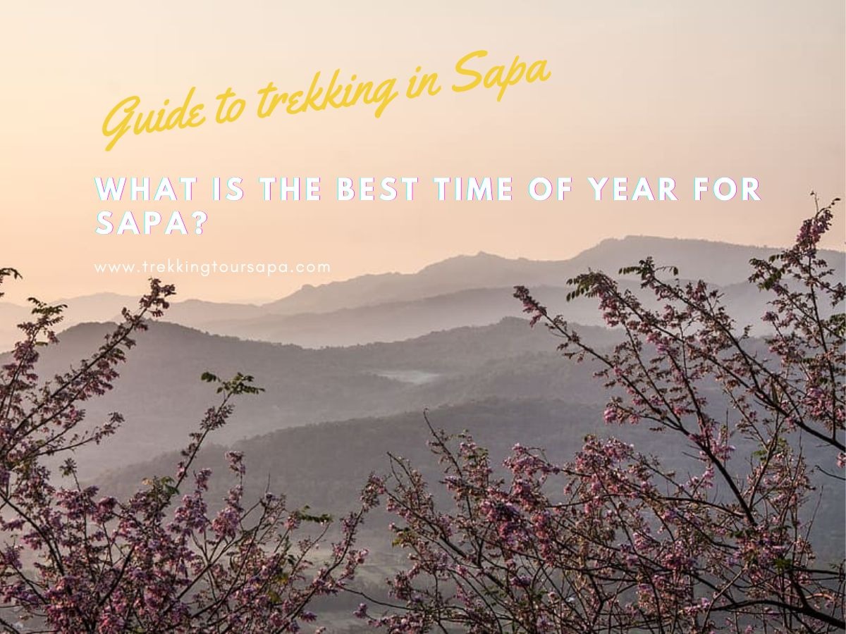 What Is The Best Time Of Year For Sapa