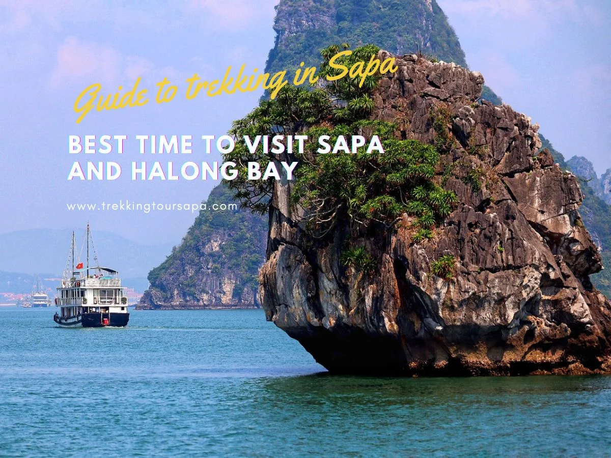 best time to visit sapa and halong bay