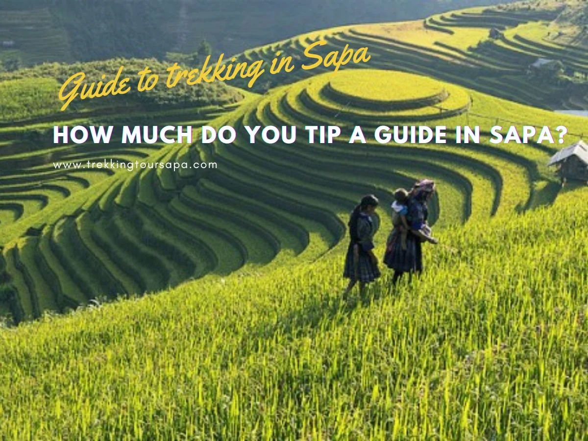 how much do you tip a guide in sapa