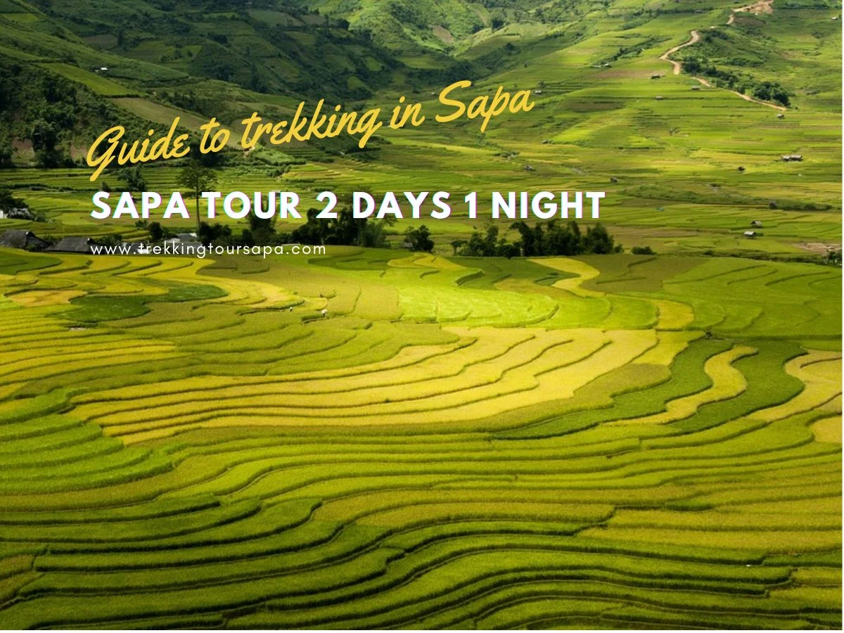 sapa tour 2 days 1 night