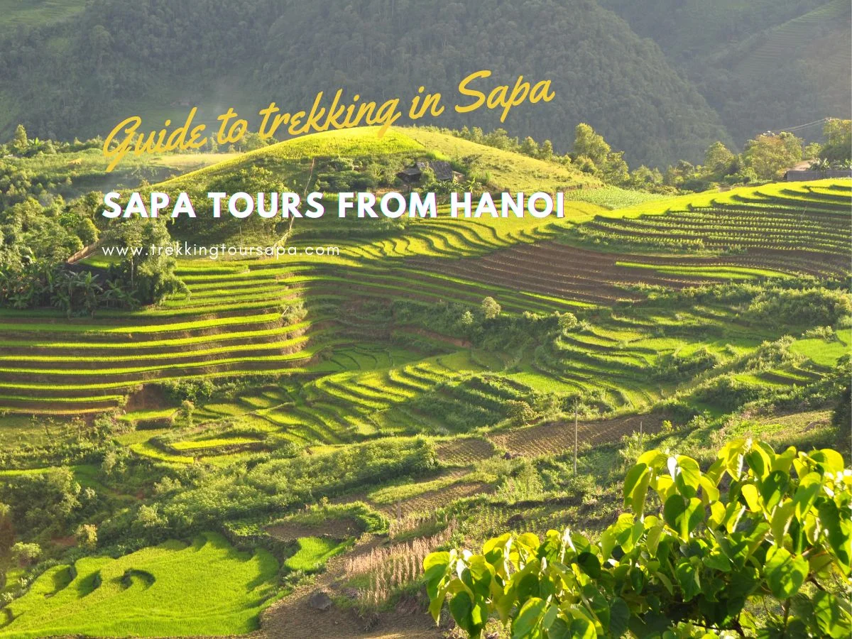 sapa tours from hanoi