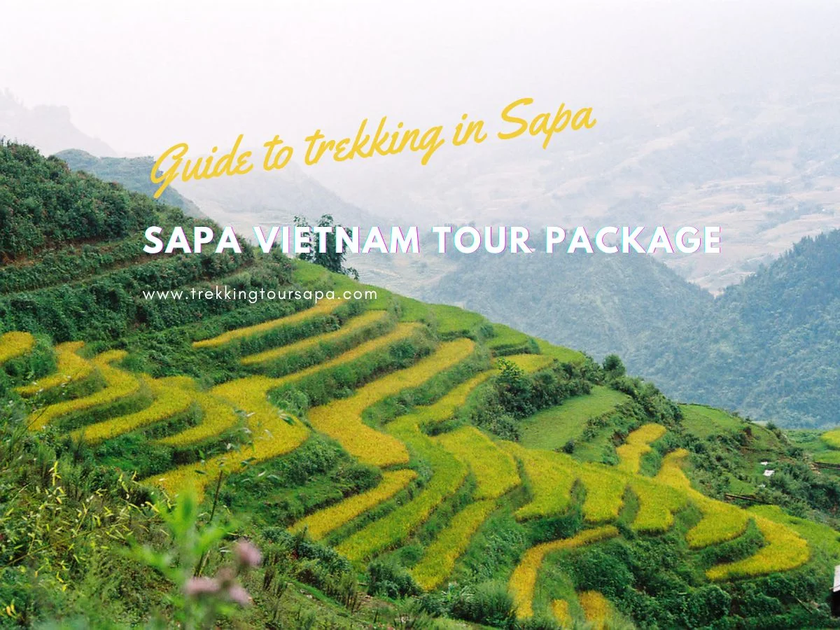 sapa vietnam tour package