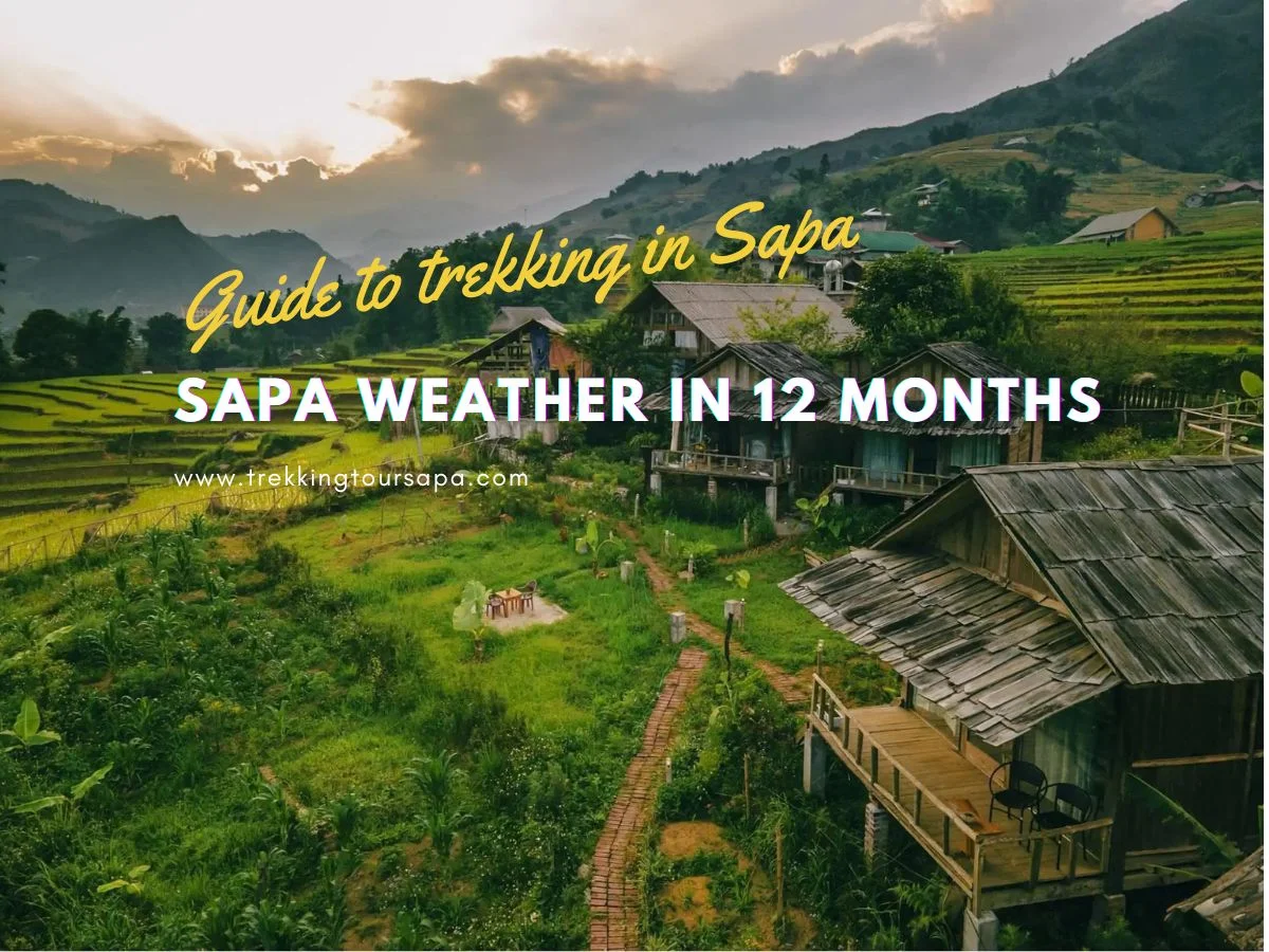 sapa weather in 12 months