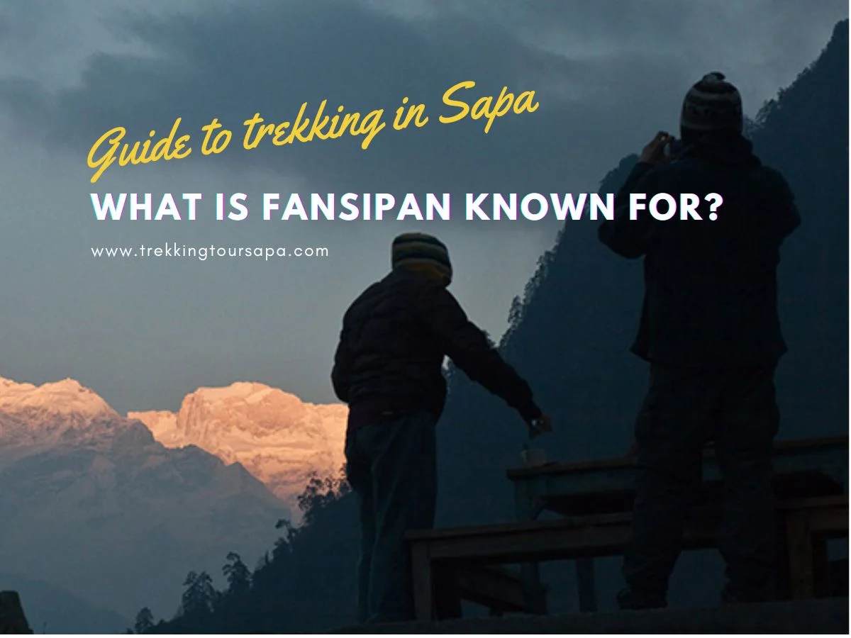 what is fansipan known for